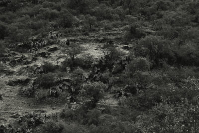 RUTA 2