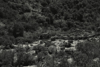 RUTA 1